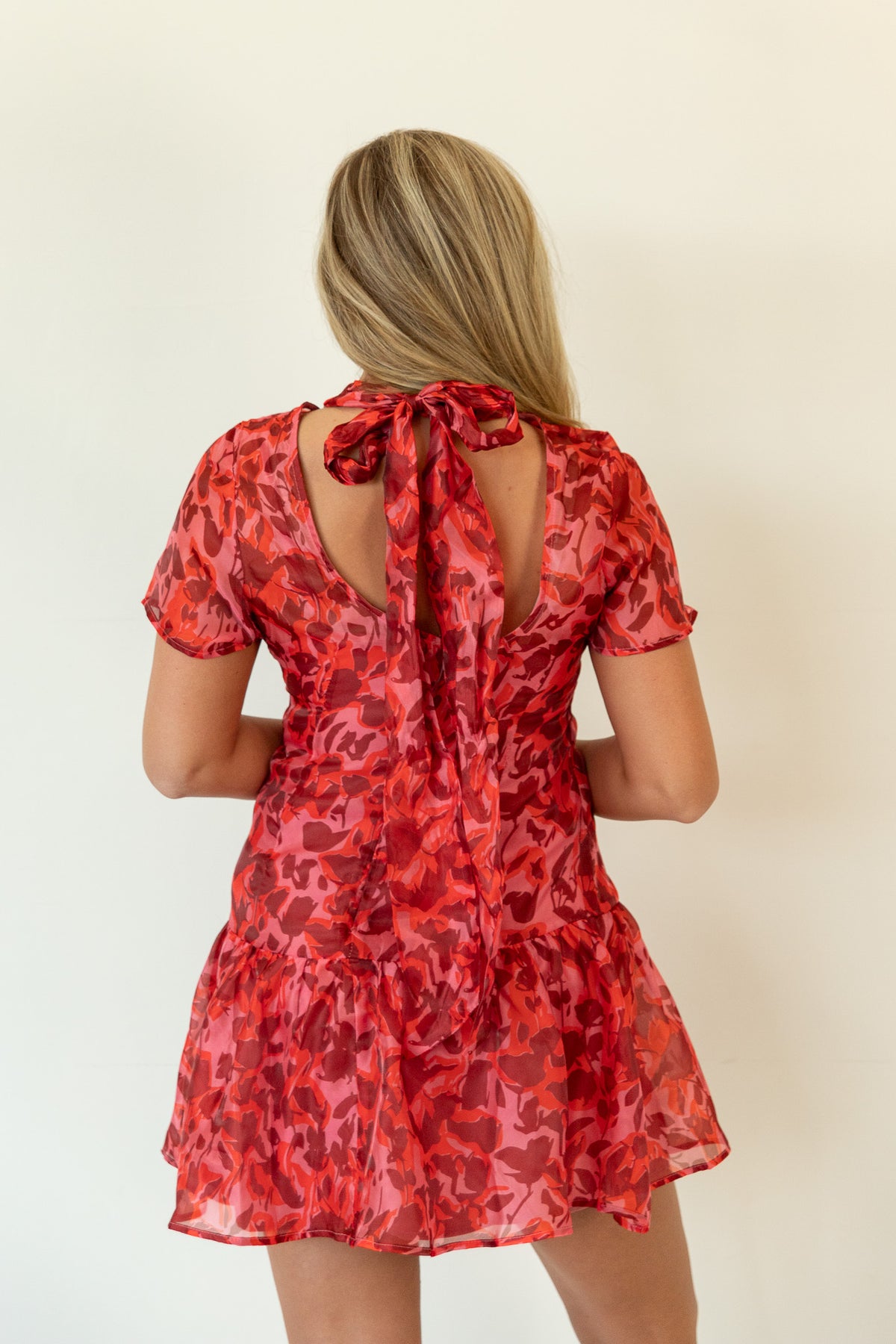 Chloe Organza Mini Dress