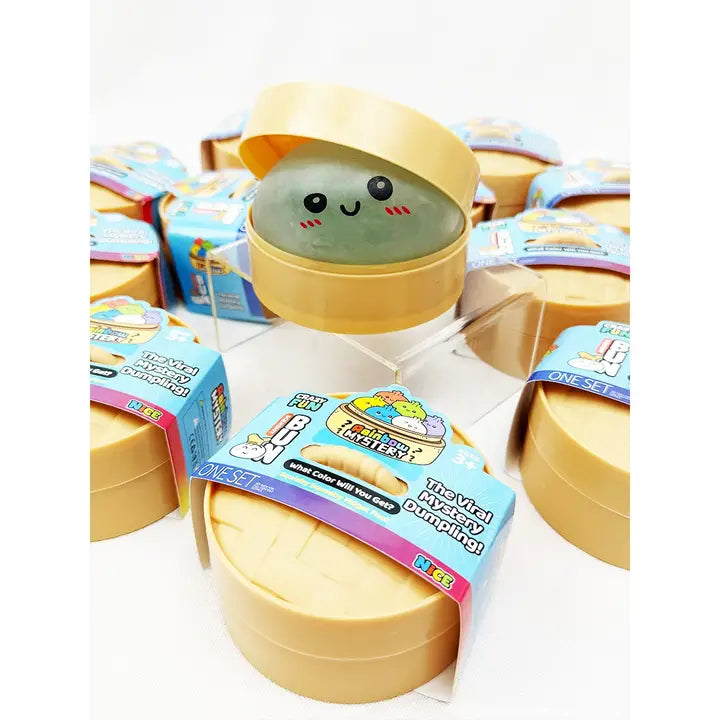 Mystery Dumpling Squishy with Steamer