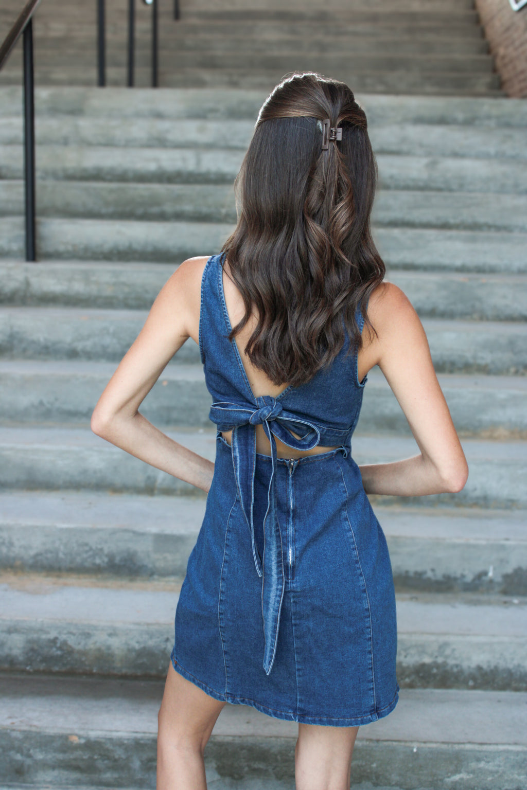 Reagan Denim Mini Dress