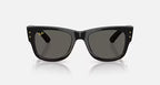 Ray-Ban Mega Wayfarer Blacked Out Collection Sunglasses