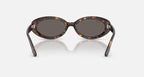 Ray Ban RB2223 Sunglasses