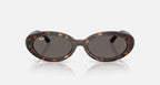 Ray Ban RB2223 Sunglasses