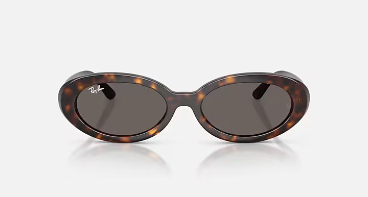 Ray Ban RB2223 Sunglasses