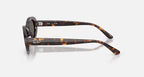 Ray Ban RB2223 Sunglasses