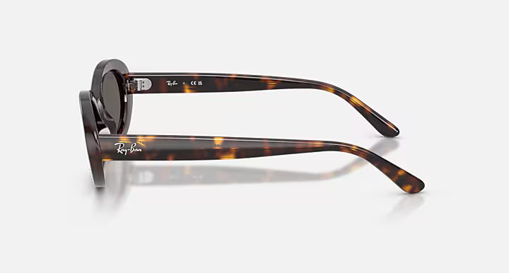 Ray Ban RB2223 Sunglasses