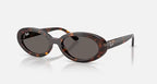Ray Ban RB2223 Sunglasses