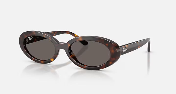 Ray Ban RB2223 Sunglasses