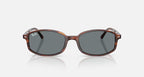 Ray-Ban Sam Sunglasses