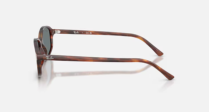 Ray-Ban Sam Sunglasses