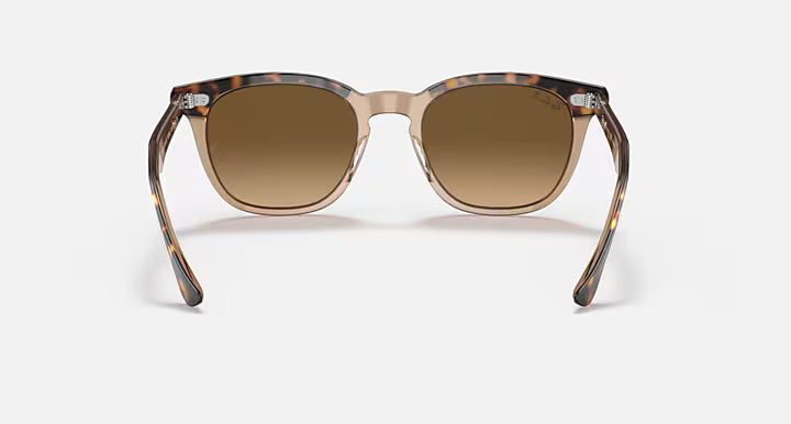 Ray-Ban Hawkeye Sunglasses