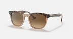 Ray-Ban Hawkeye Sunglasses