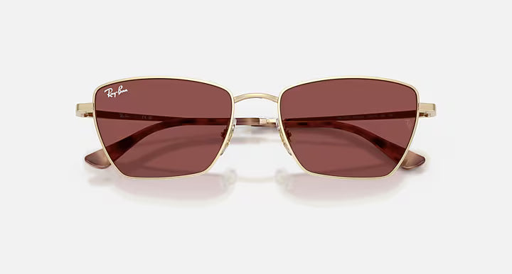 Ray-Ban Drea Sunglasses