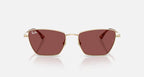 Ray-Ban Drea Sunglasses