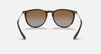 Ray-Ban Erika Sunglasses