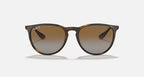 Ray-Ban Erika Sunglasses