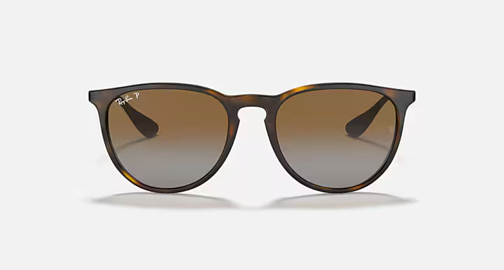 Ray-Ban Erika Sunglasses
