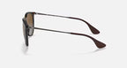 Ray-Ban Erika Sunglasses