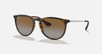 Ray-Ban Erika Sunglasses