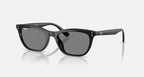 Ray-Ban RB4474D Sunglasses