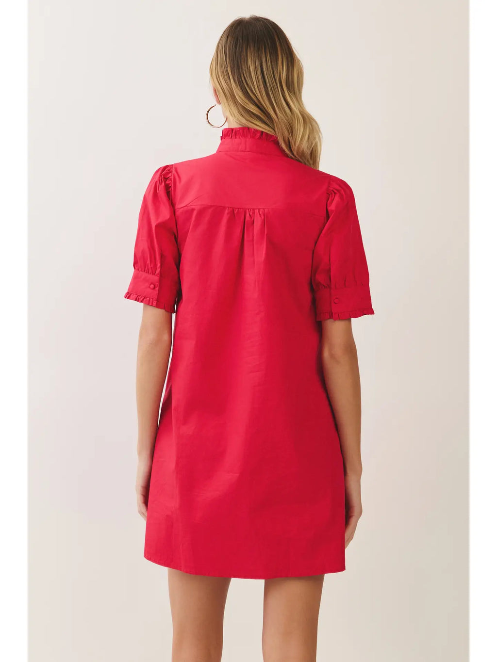 Rosa Ruffle Trim Puff Sleeve Mini Dress