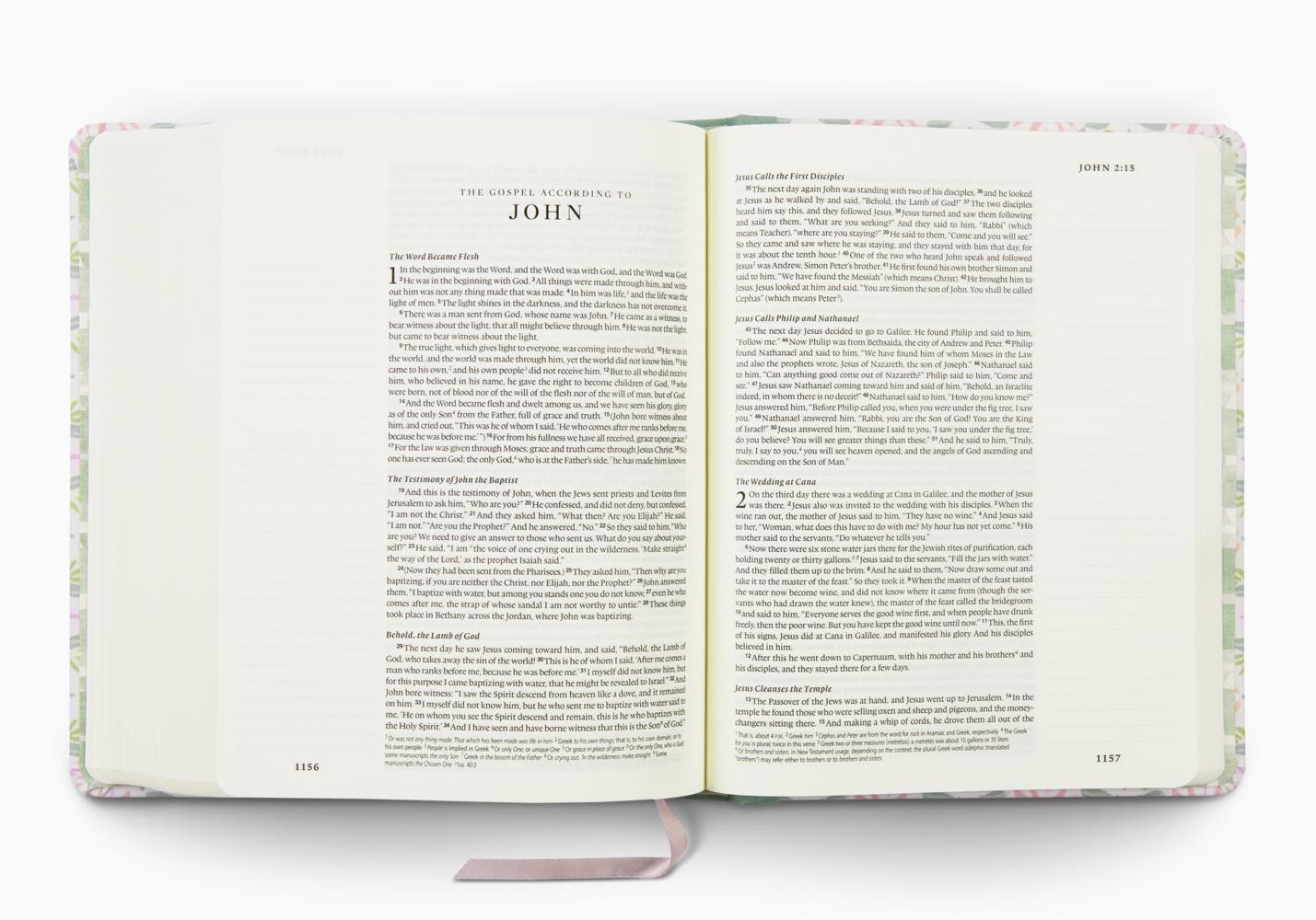 ESV Single Column Journaling Bible®, Artist Series