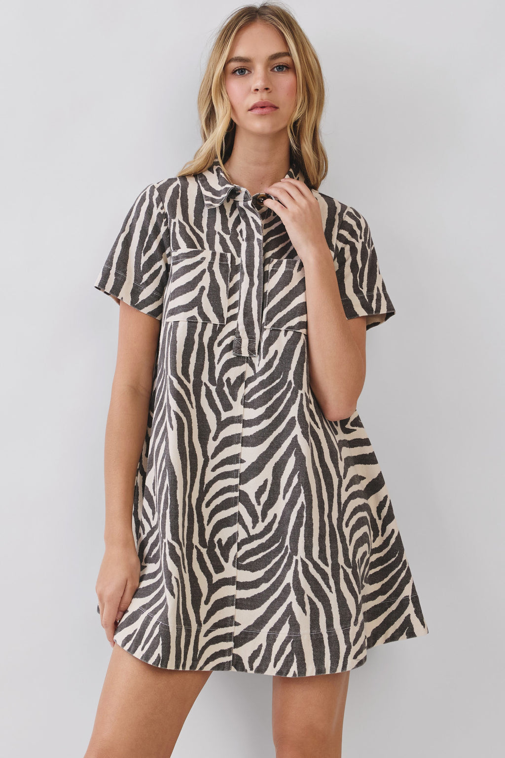 Lexi Zebra Print Mini Dress