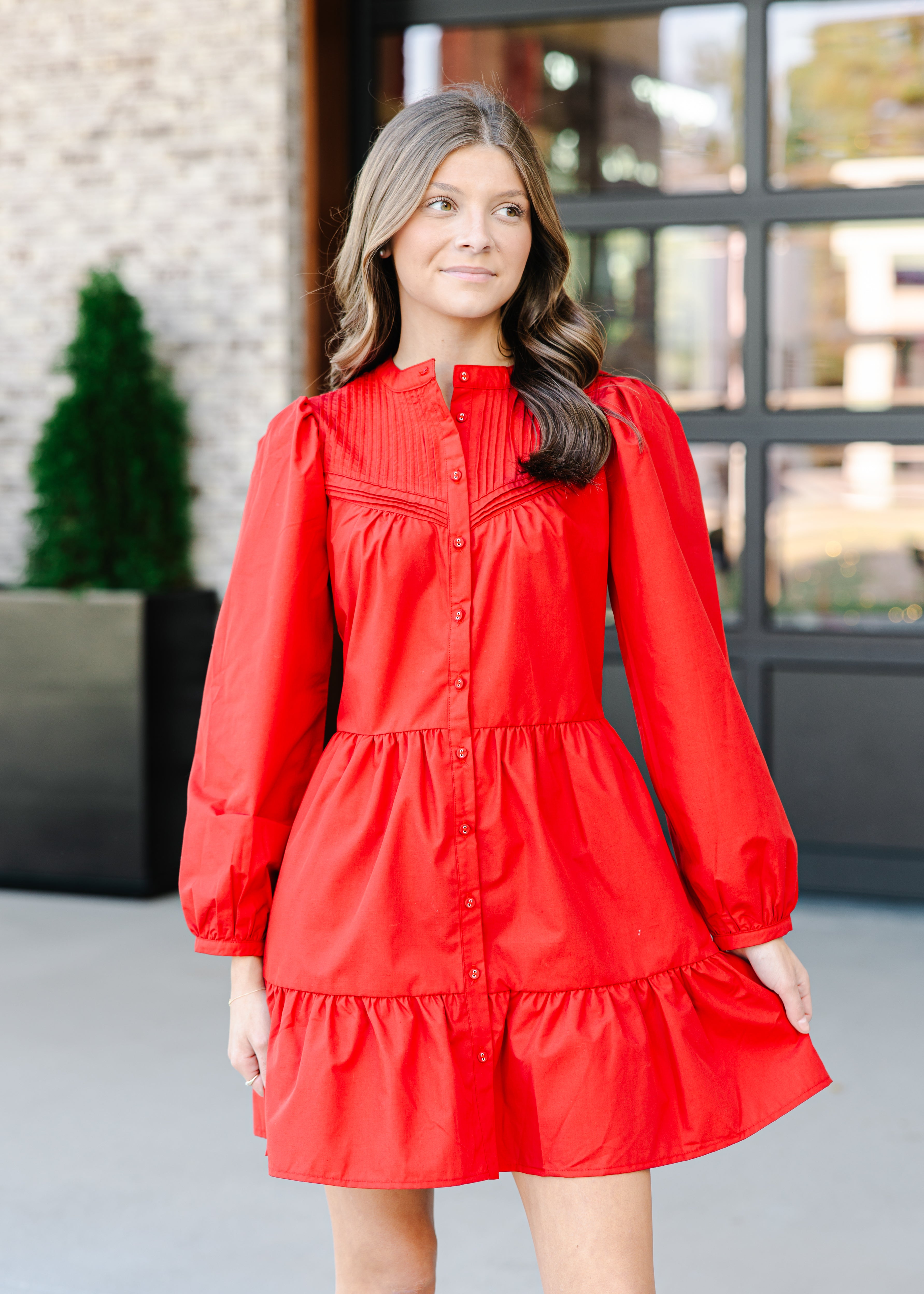 Mila Button-Down Mini Dress