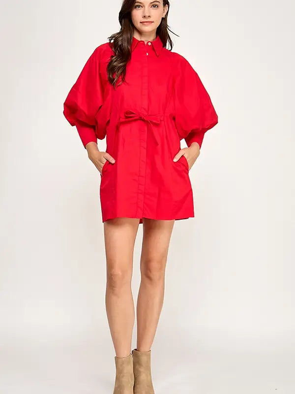 Elaine Statement Sleeve Mini Shirt Dress
