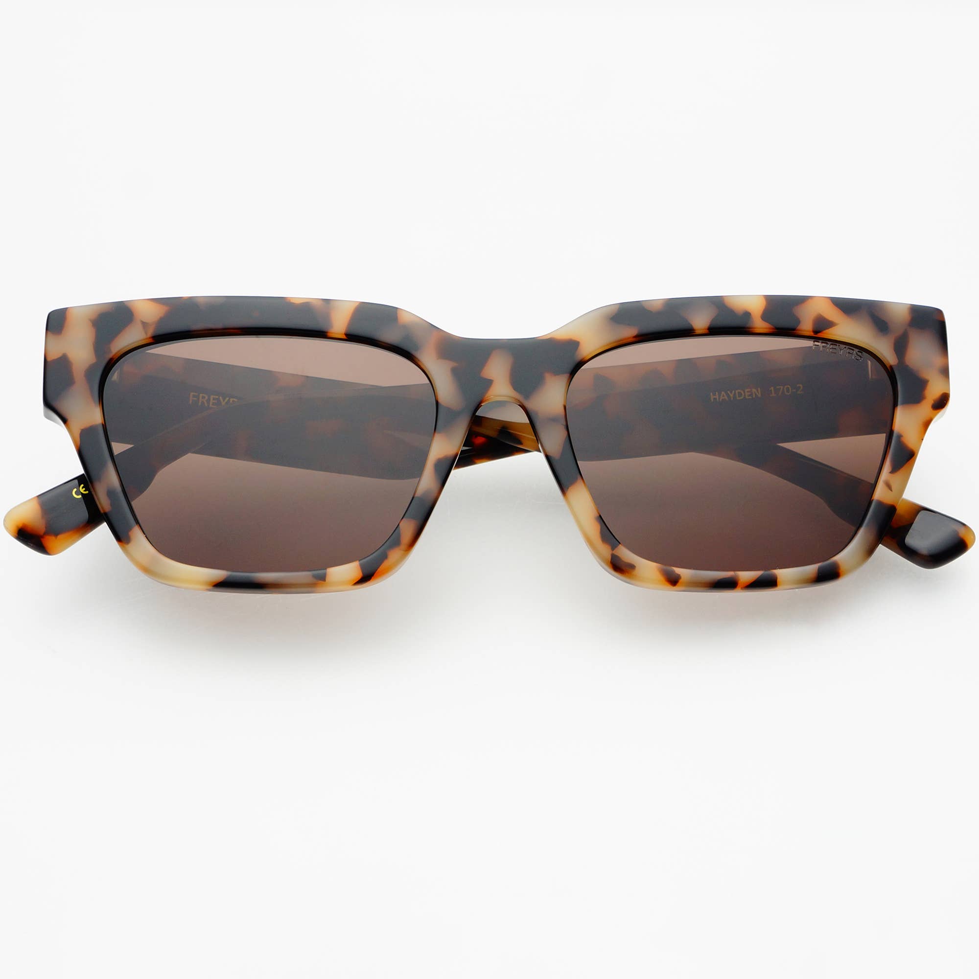 Hayden Rectangular Sunglasses