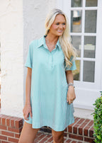 Elora Stripe Collared Swing Mini Dress