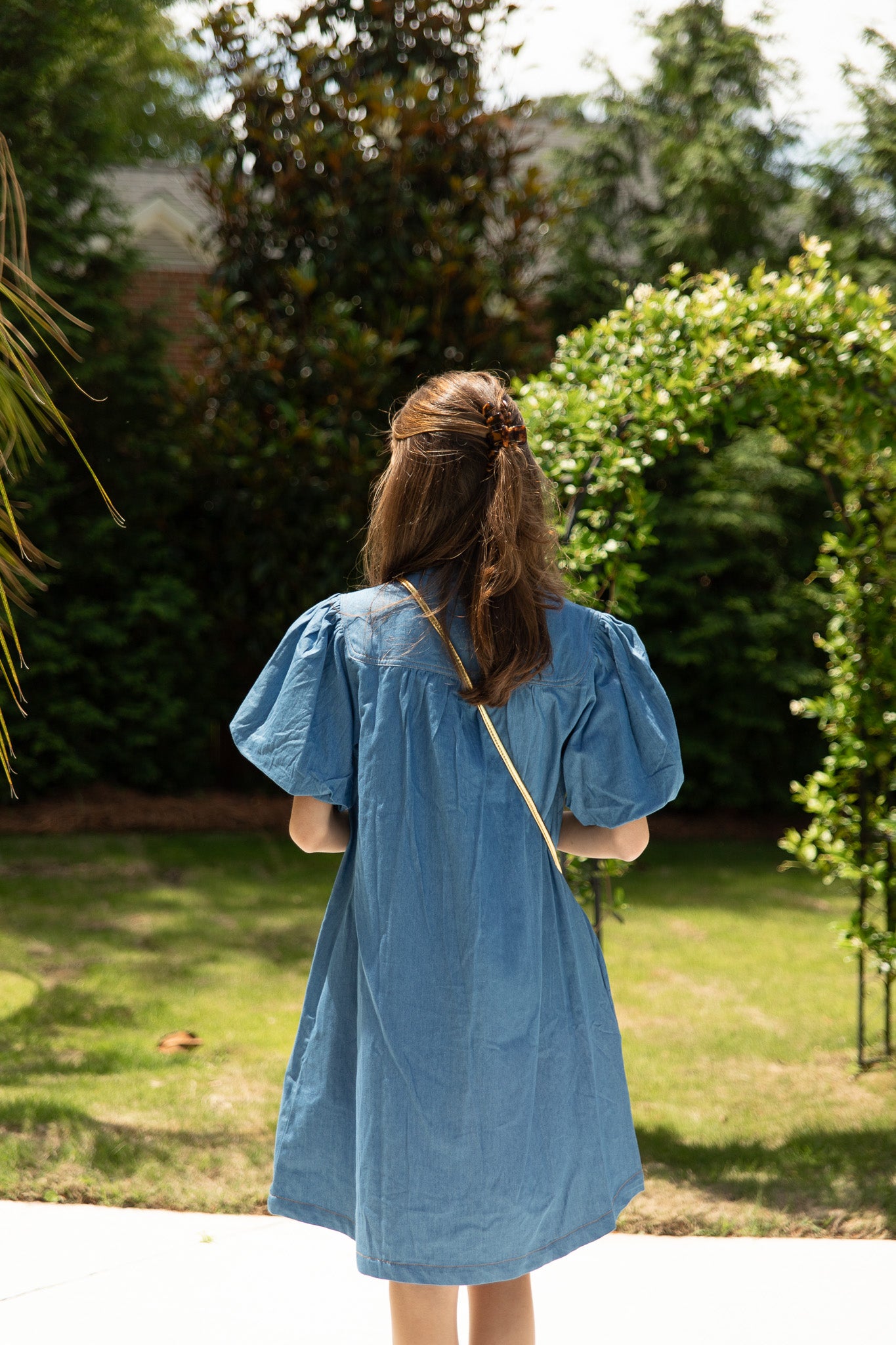 Celestia Button Front Day Dress