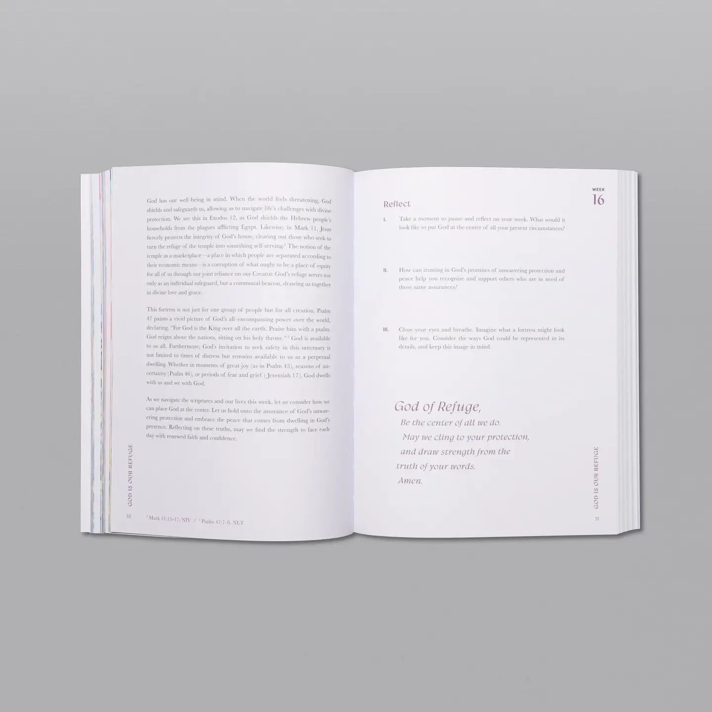 A Beautiful Year in the Bible