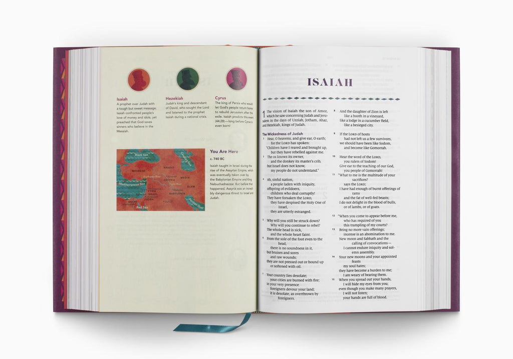 ESV The Biggest Story Holy Bible for Kids