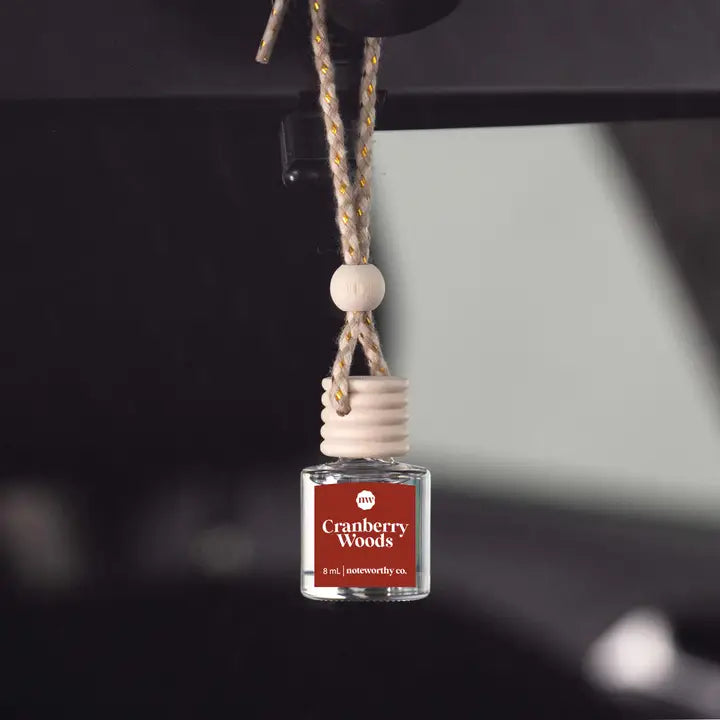 Noteworthy Co Car Diffusers