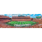 South Carolina Gamecocks - 1000 Piece Panoramic Puzzle