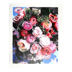 Pink Picasso Paint By Number Kit