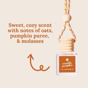 Noteworthy Co Car Diffusers
