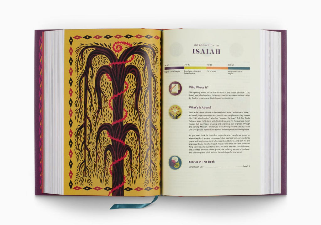 ESV The Biggest Story Holy Bible for Kids