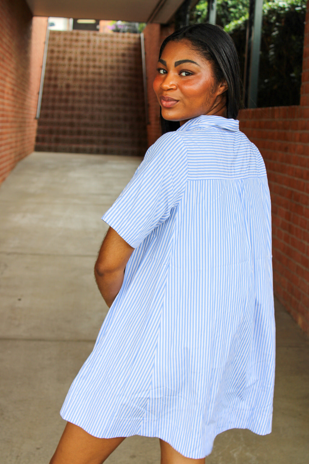 Elora Stripe Collared Swing Mini Dress