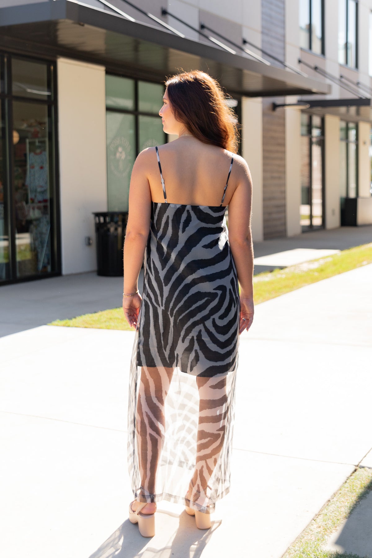 River Sleeveless Zebra Maxi Dress