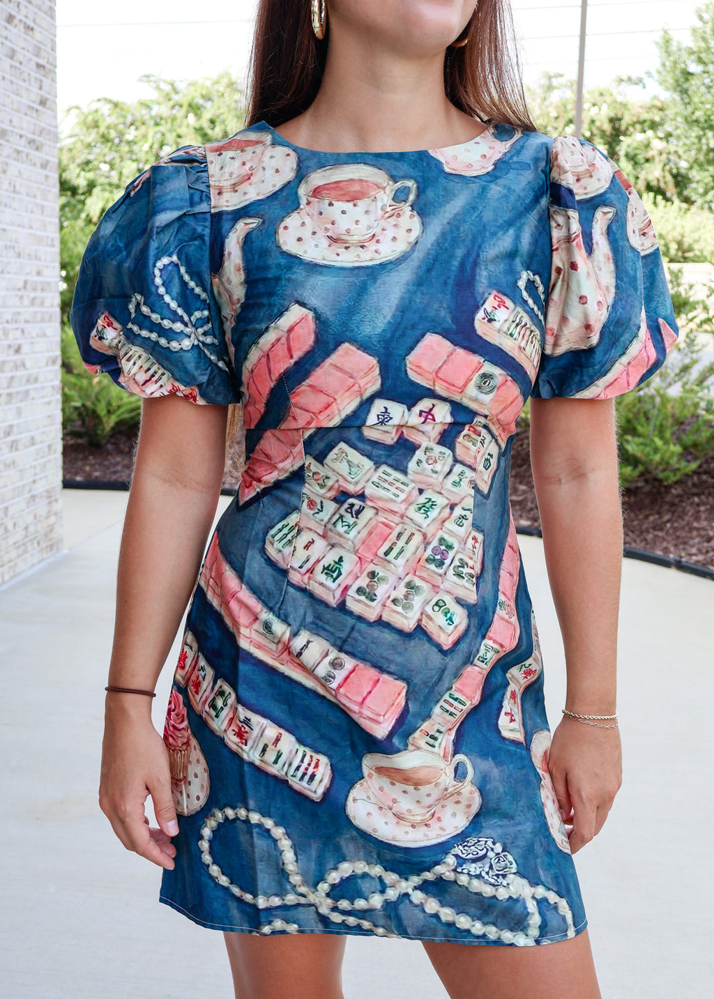 Tea Party Puff Sleeve Mini Dress