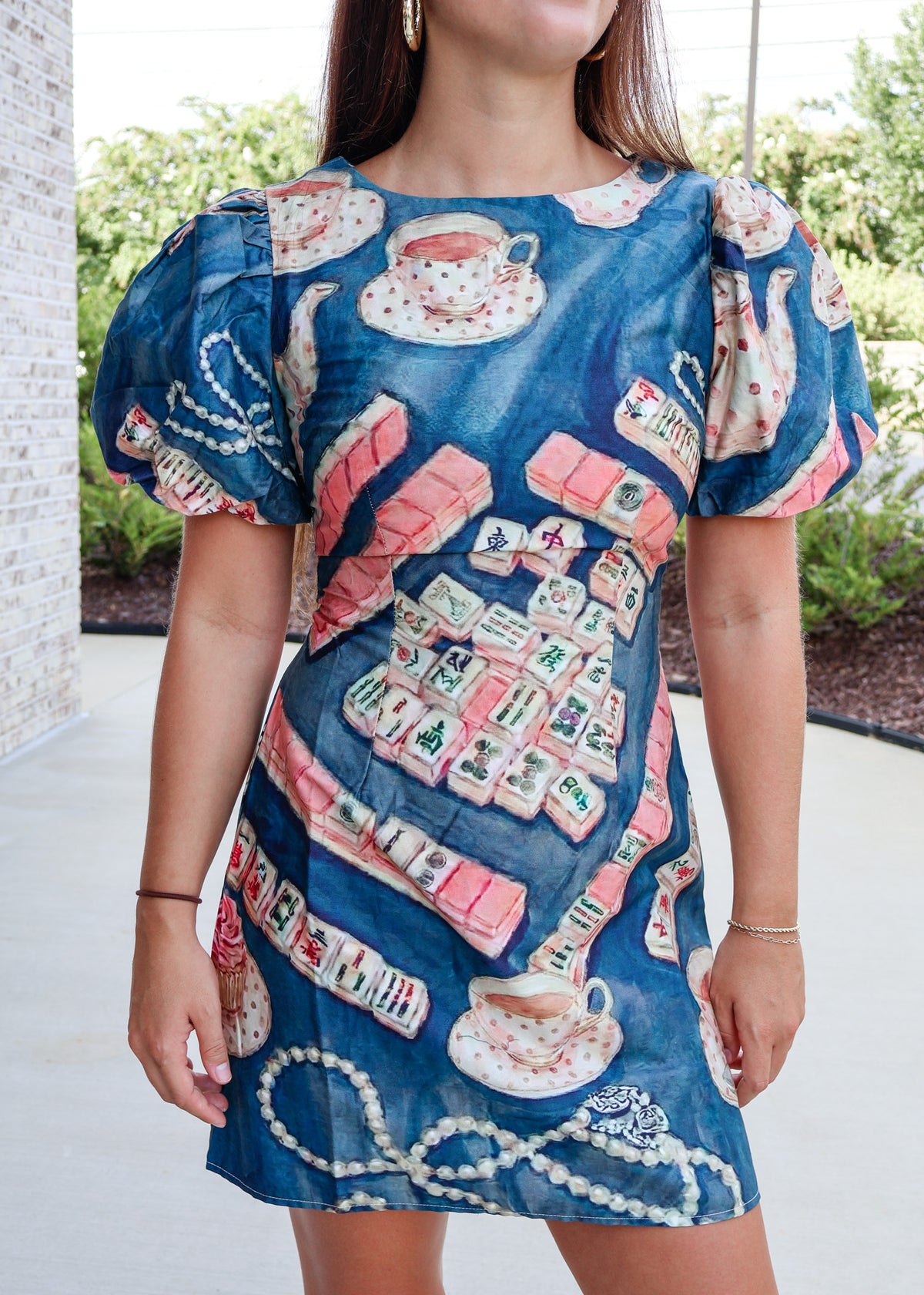 Tea Party Puff Sleeve Mini Dress