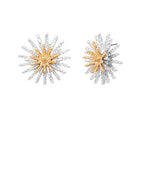Sunburst Texture Metal Earrings