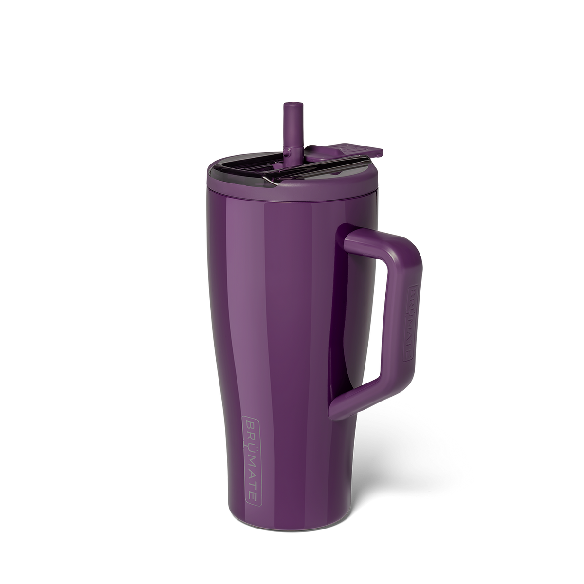 Era Flip 30oz in Plum