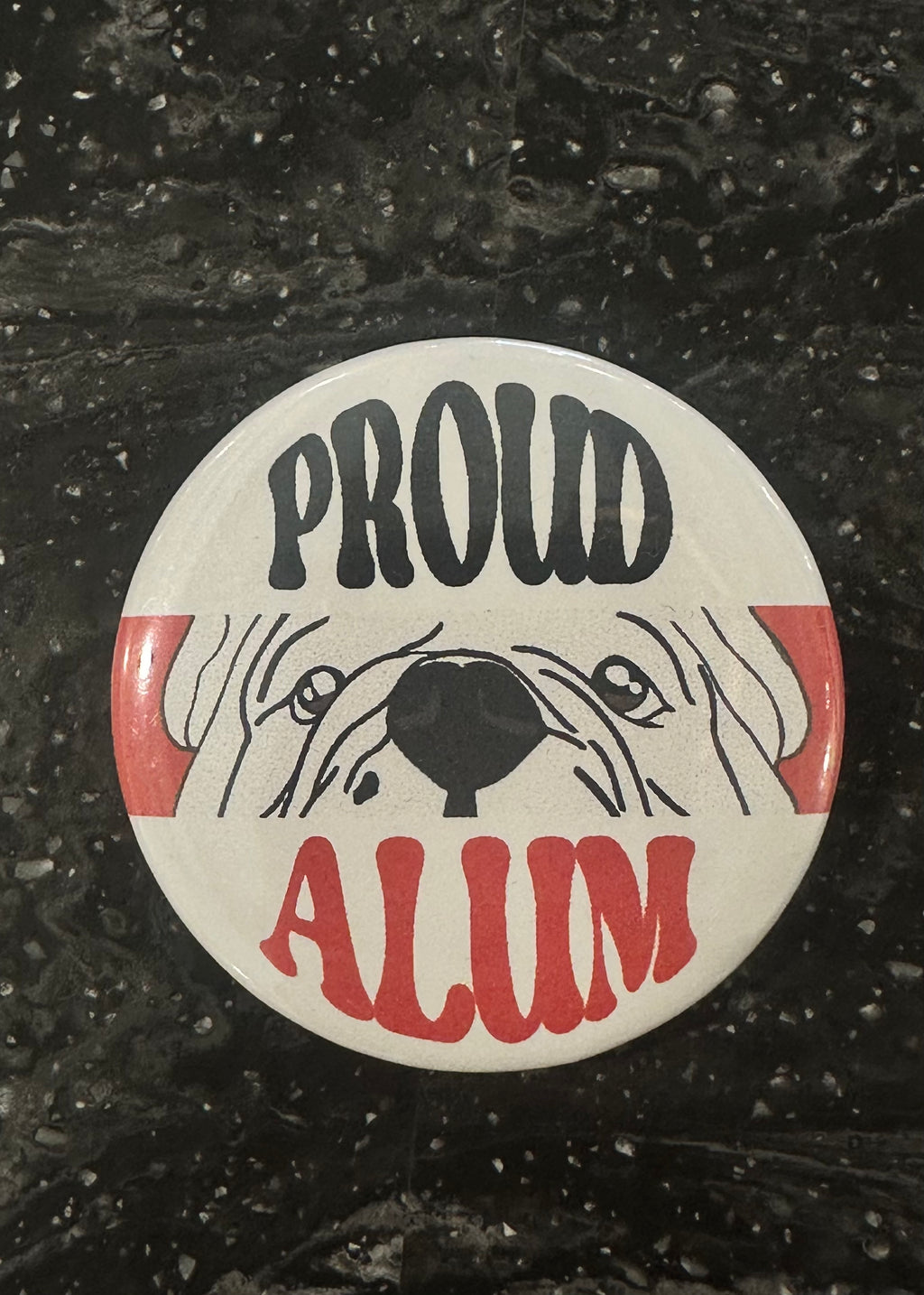 Georgia Gameday Button