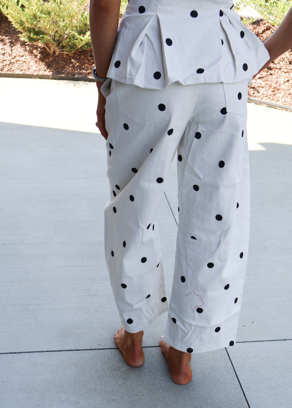 Zoe Top And Barrel Pants Set