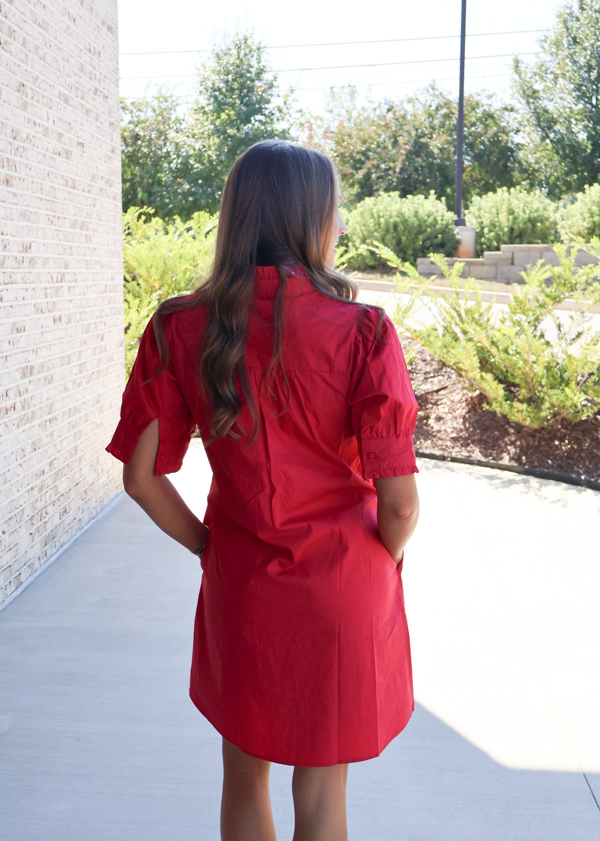 Rosa Ruffle Trim Puff Sleeve Mini Dress
