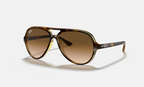 Ray-Ban Cats 5000