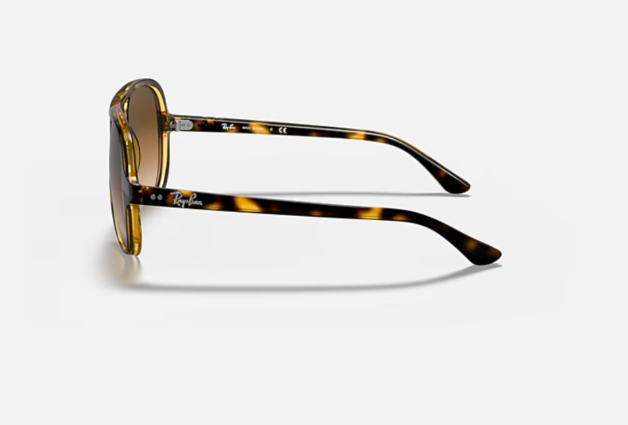 Ray-Ban Cats 5000