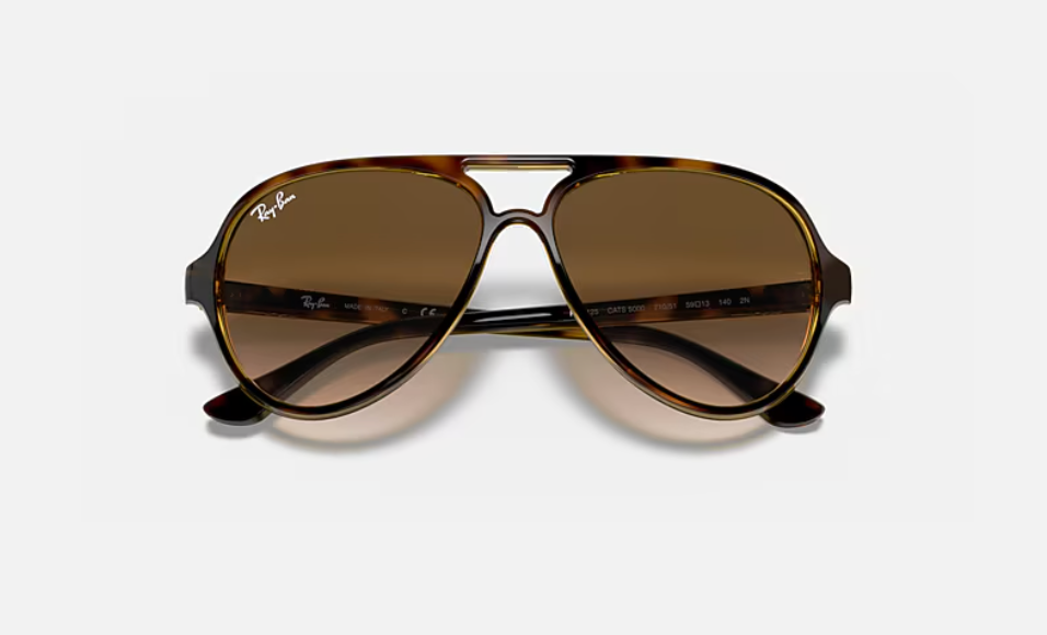 Ray-Ban Cats 5000